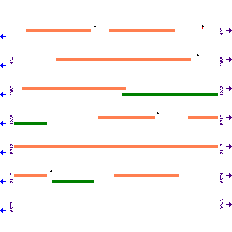 Genome View