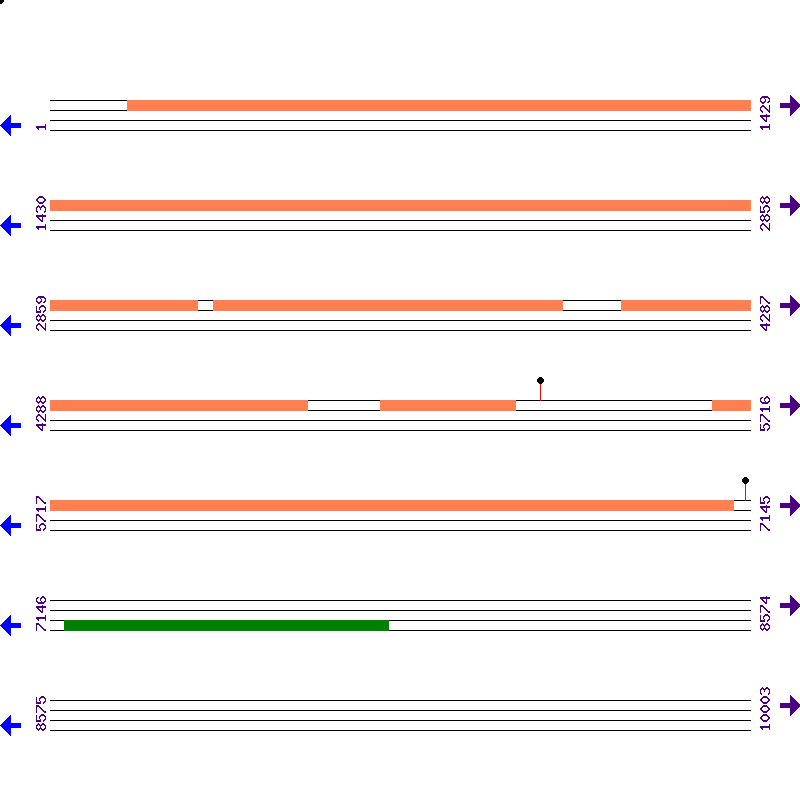 Genome View