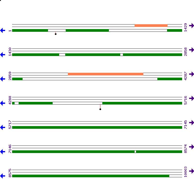 Genome View