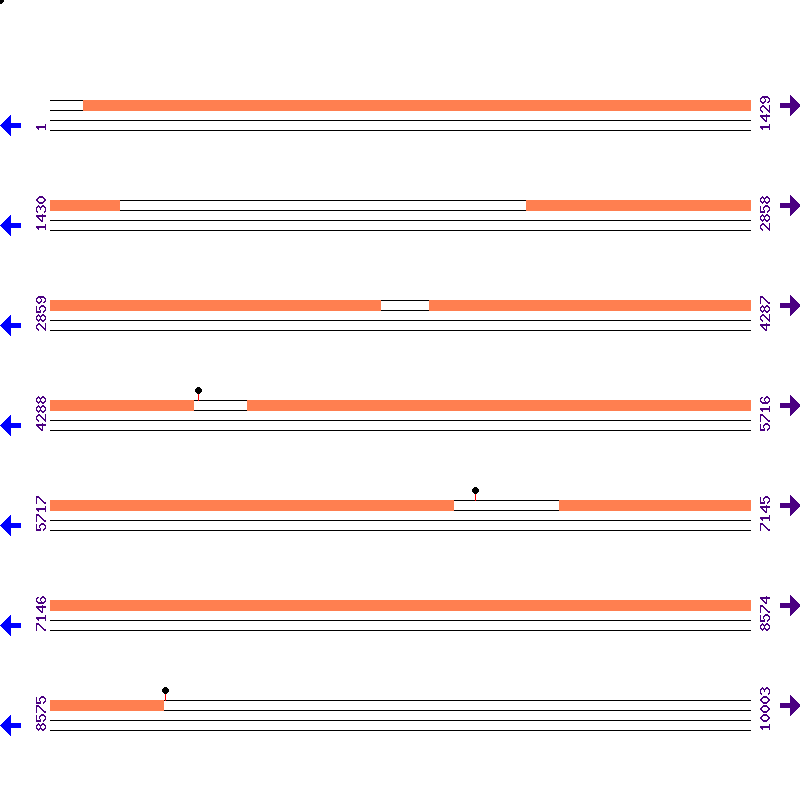 Genome View