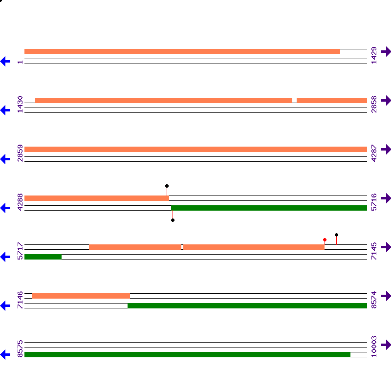Genome View
