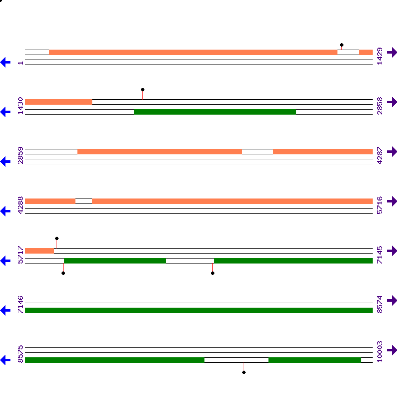 Genome View