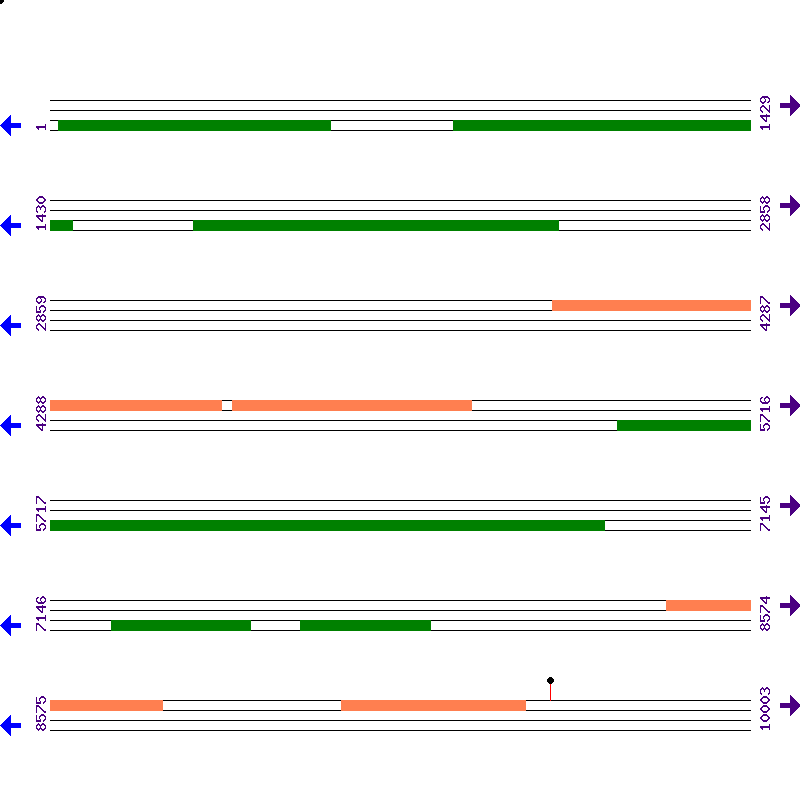 Genome View