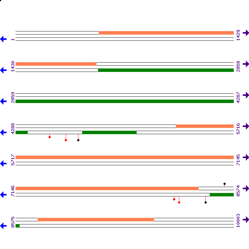 Genome View