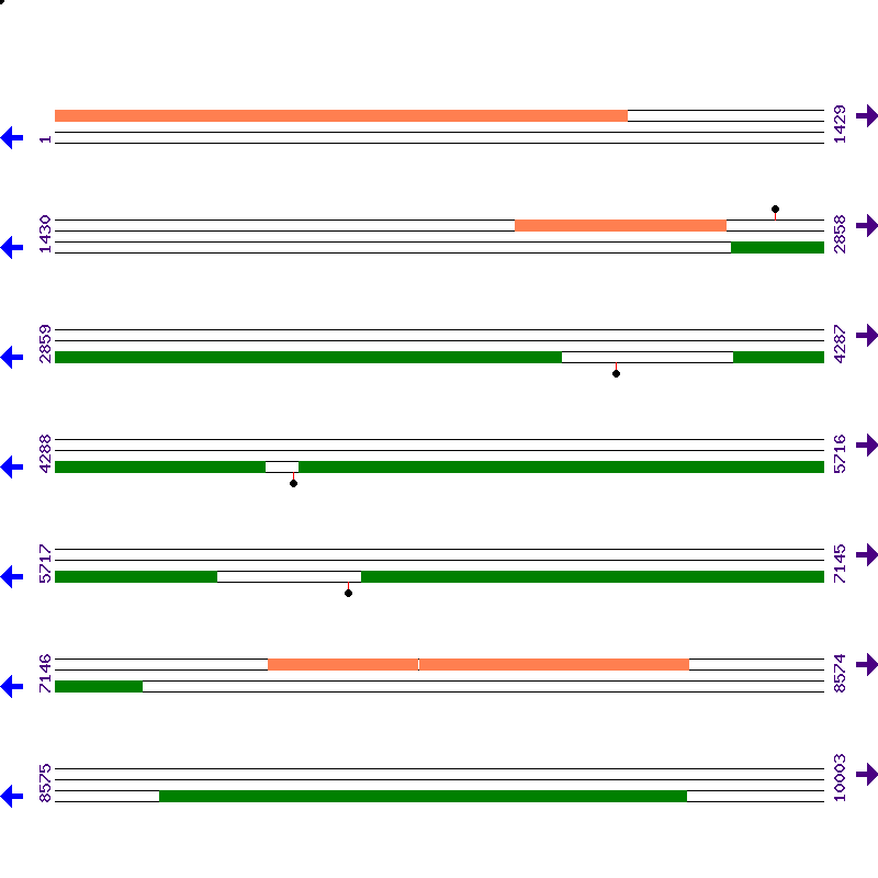 Genome View