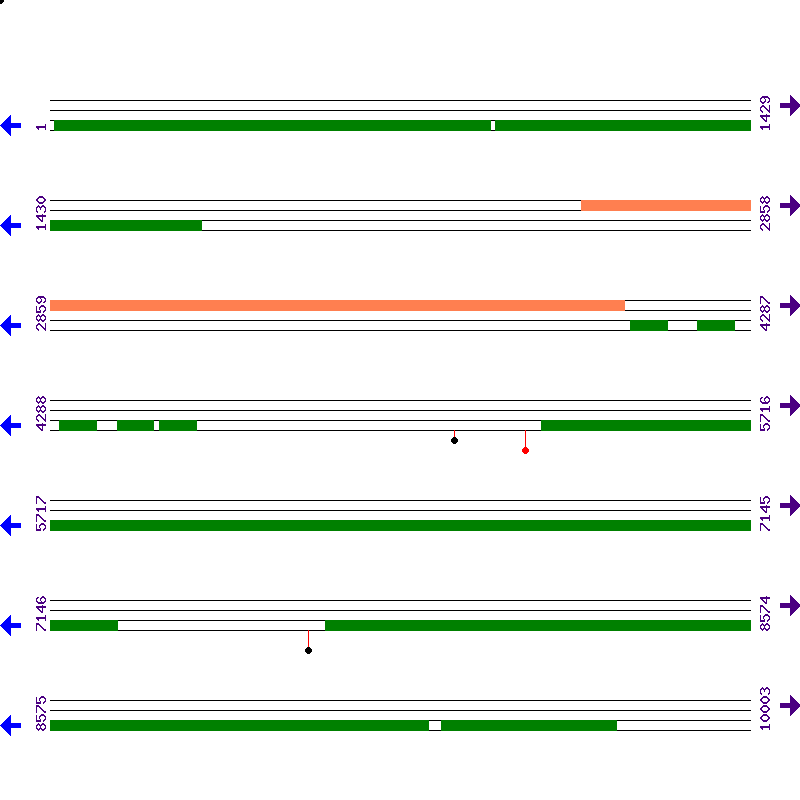 Genome View