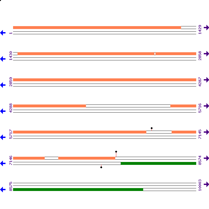 Genome View