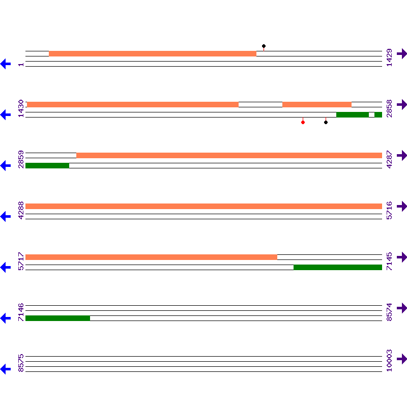 Genome View