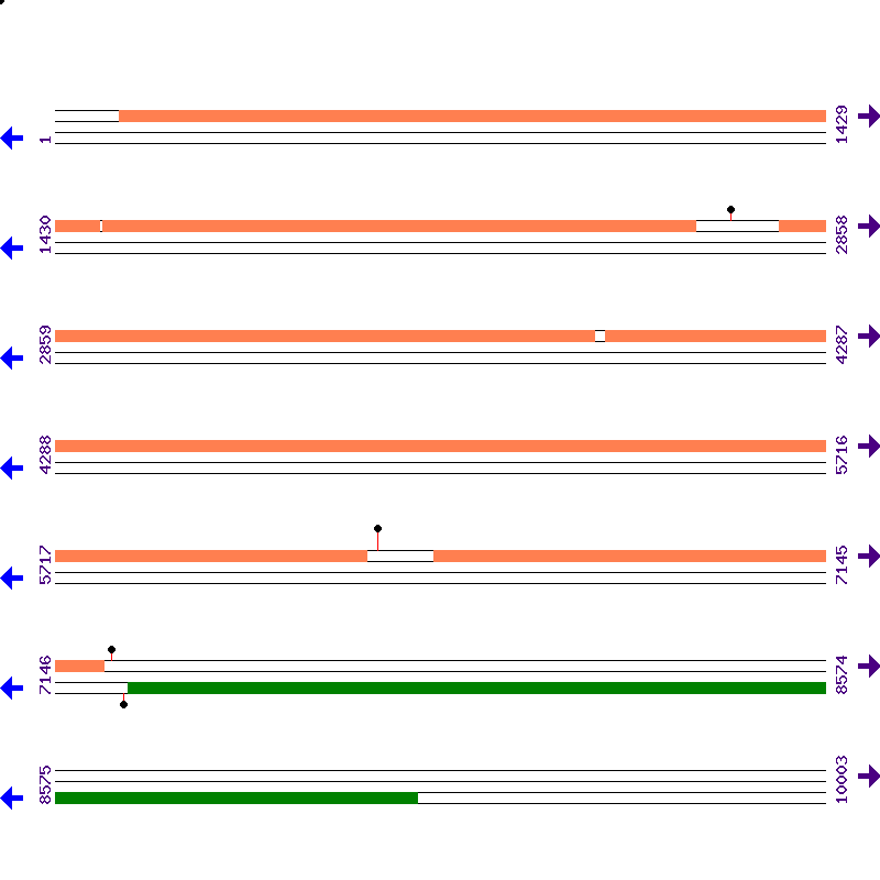 Genome View