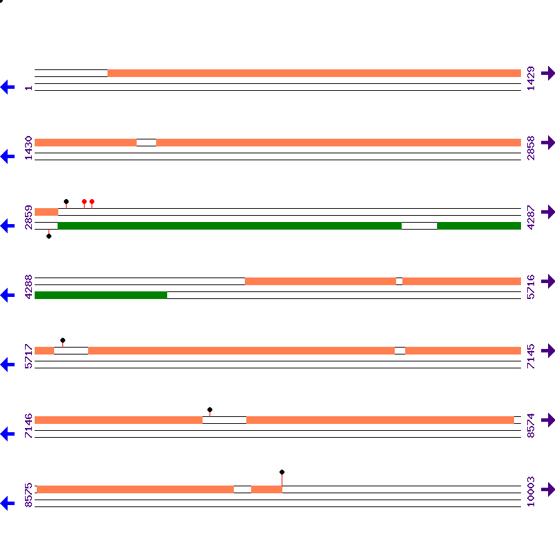 Genome View