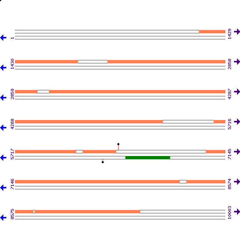 Genome View