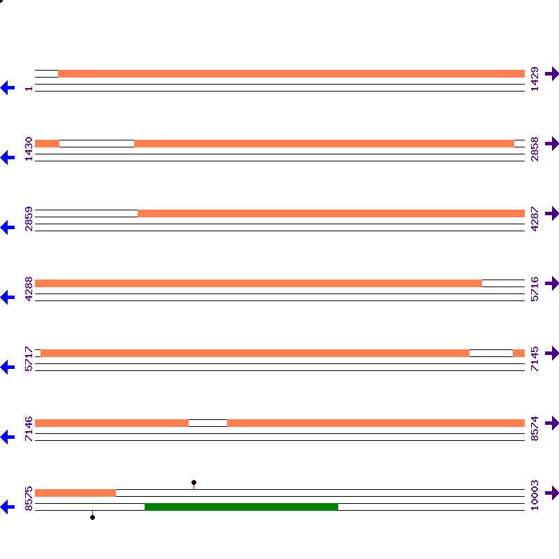 Genome View
