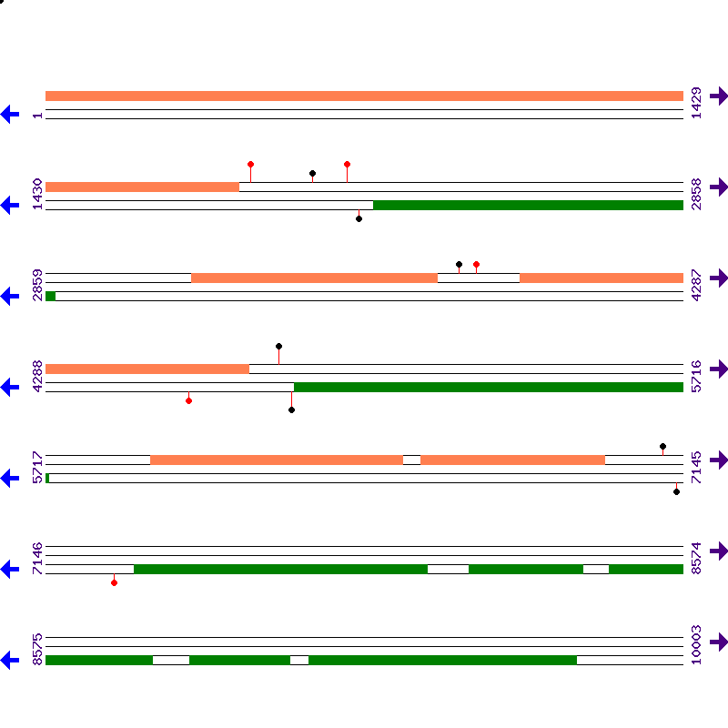 Genome View