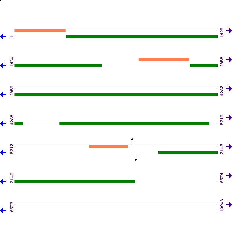 Genome View