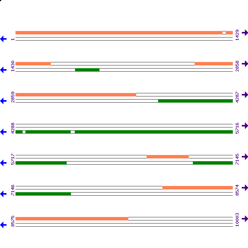 Genome View