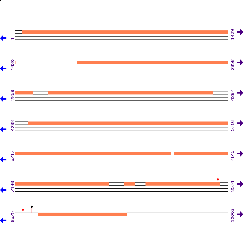 Genome View