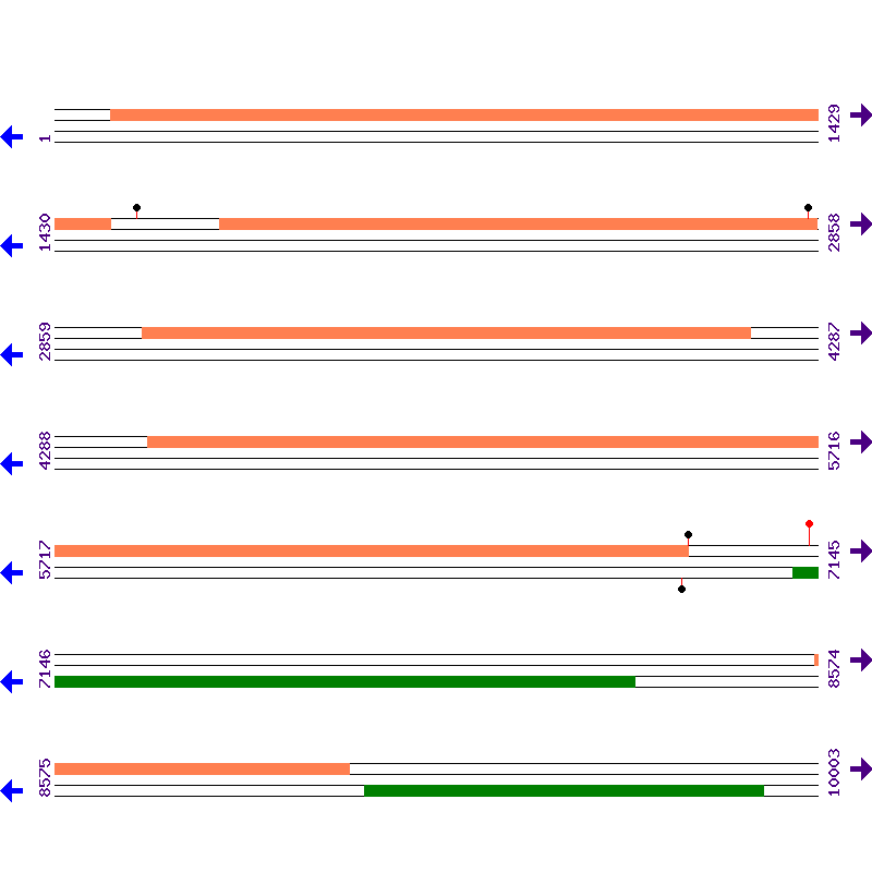 Genome View