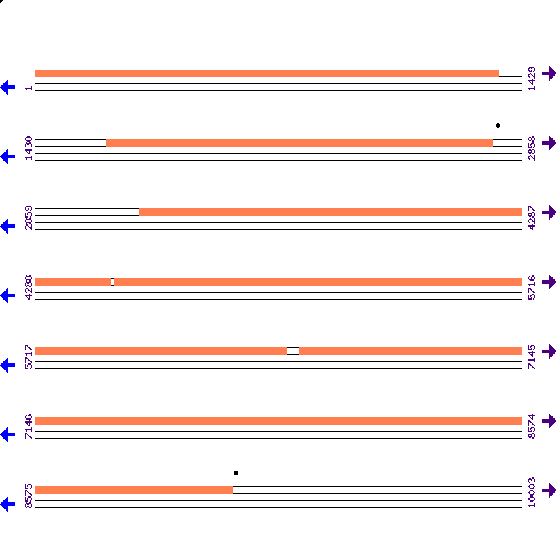 Genome View