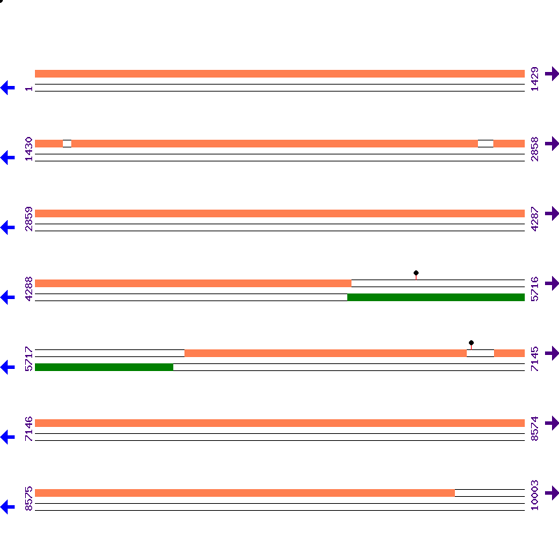 Genome View