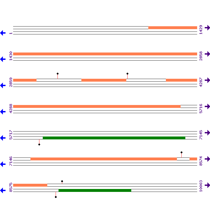 Genome View