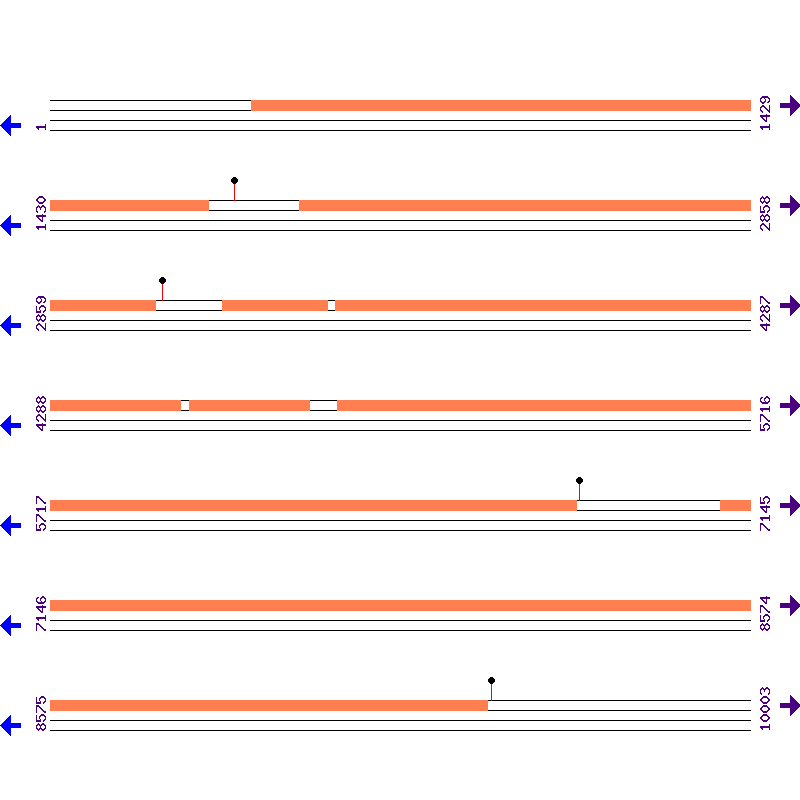 Genome View