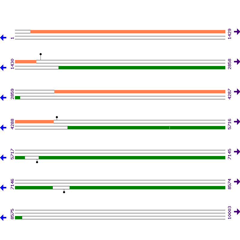 Genome View