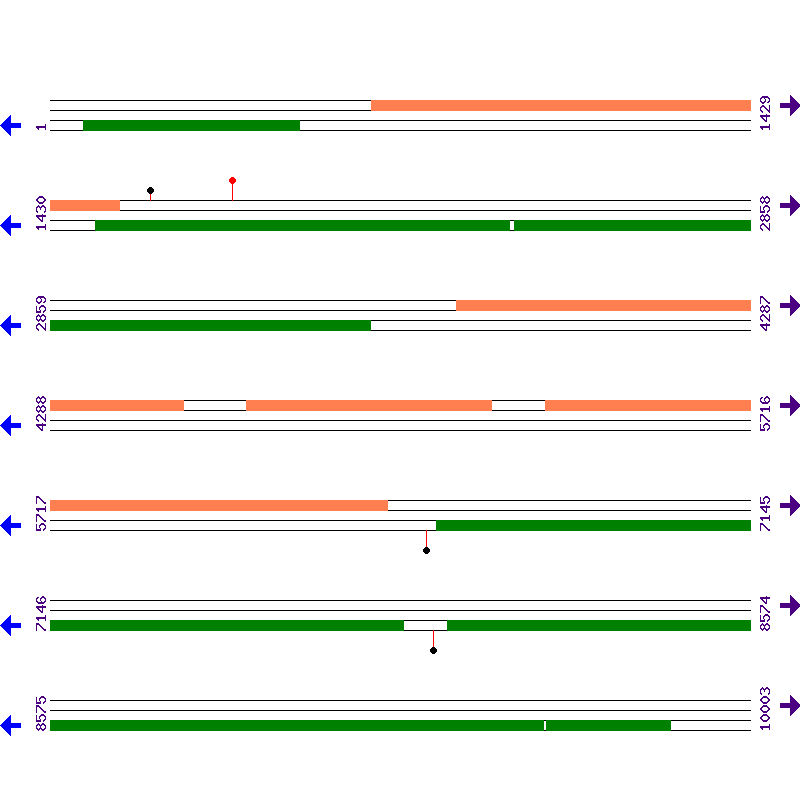 Genome View