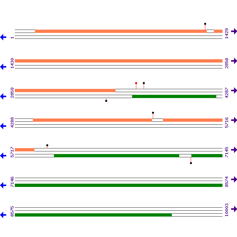 Genome View