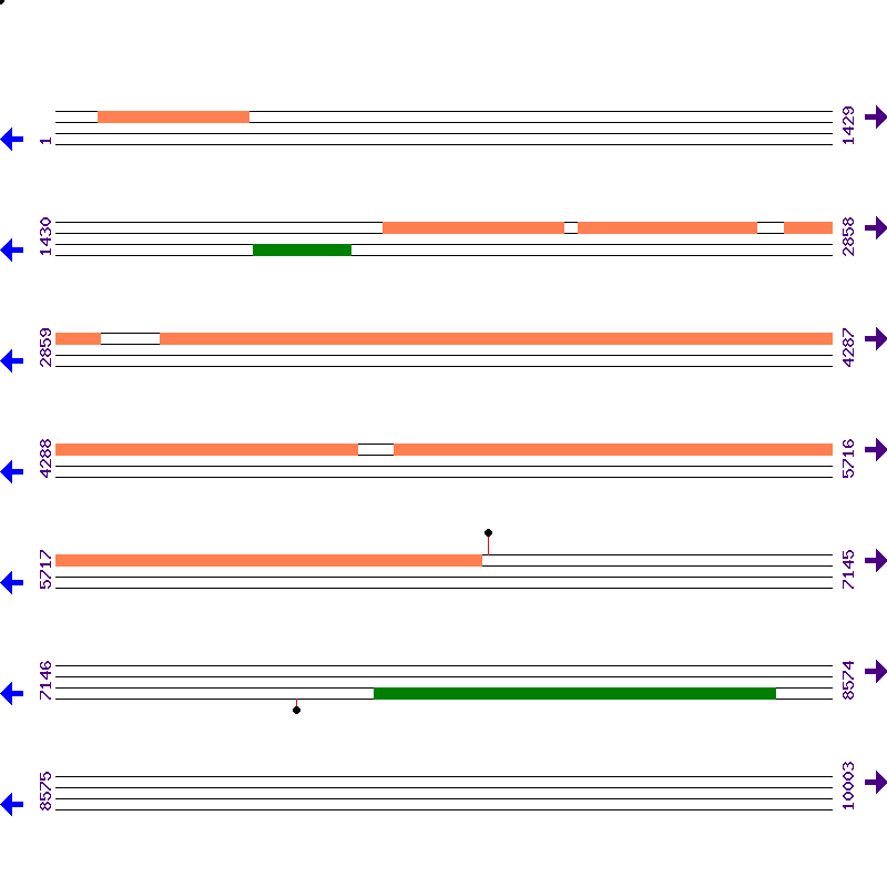 Genome View