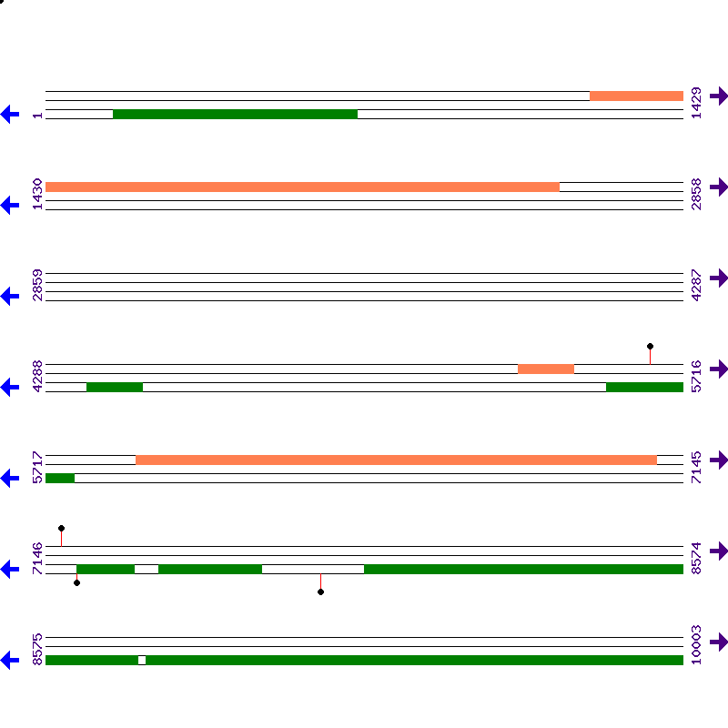 Genome View
