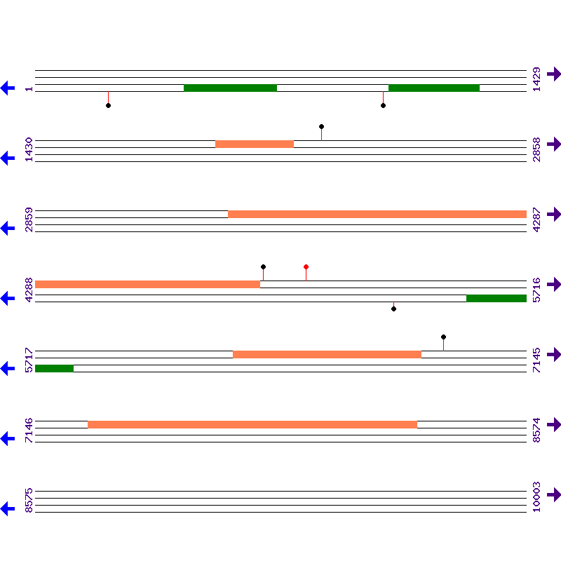 Genome View