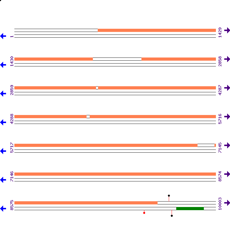 Genome View