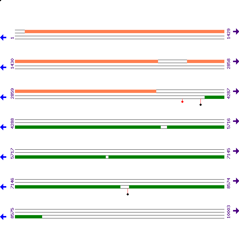 Genome View