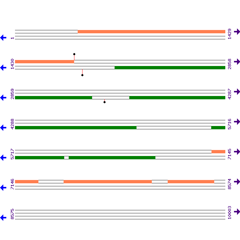 Genome View