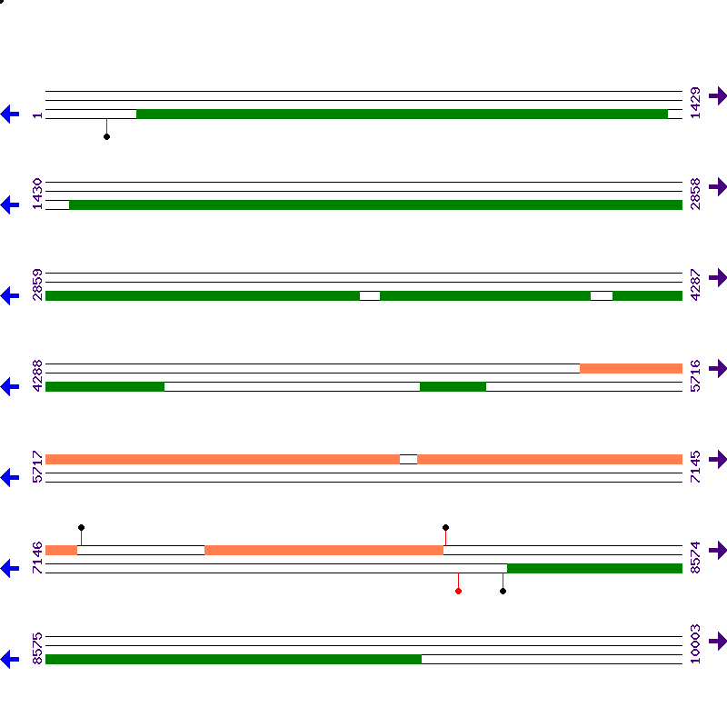 Genome View