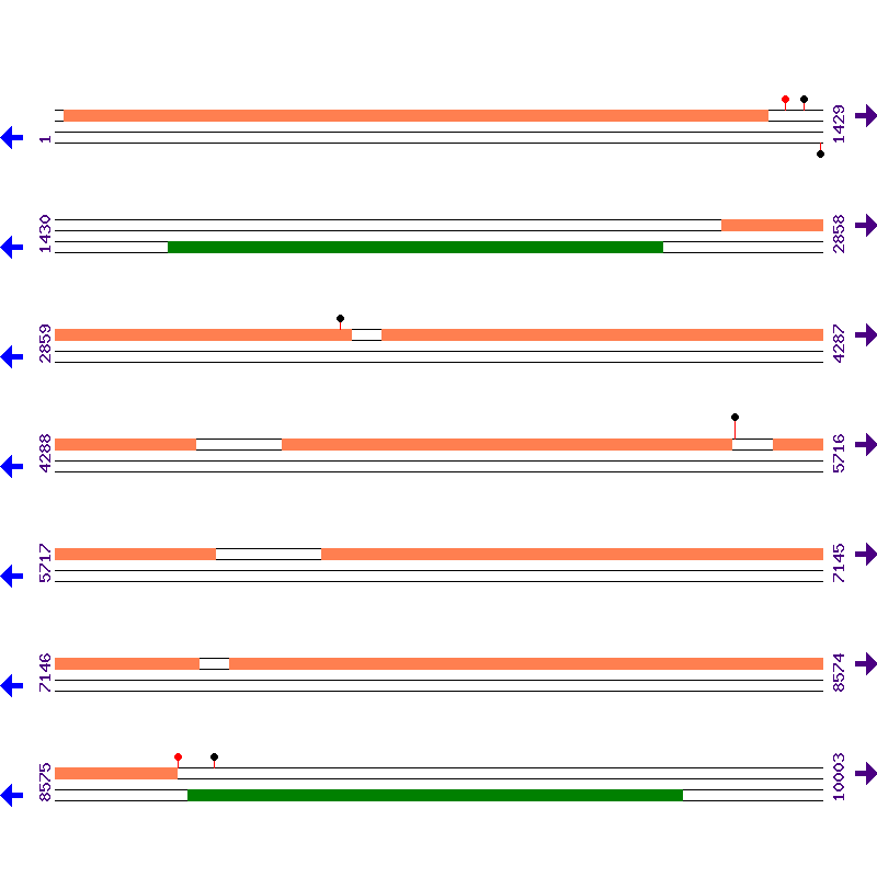 Genome View