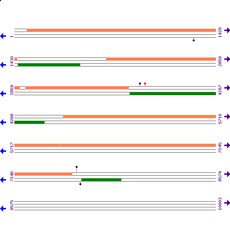 Genome View