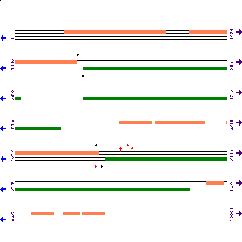 Genome View