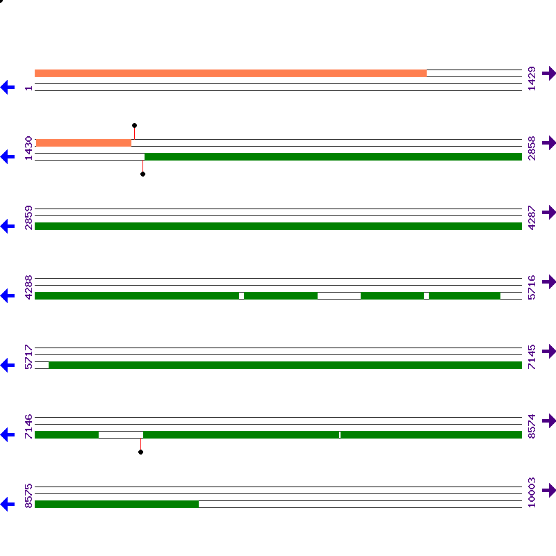 Genome View