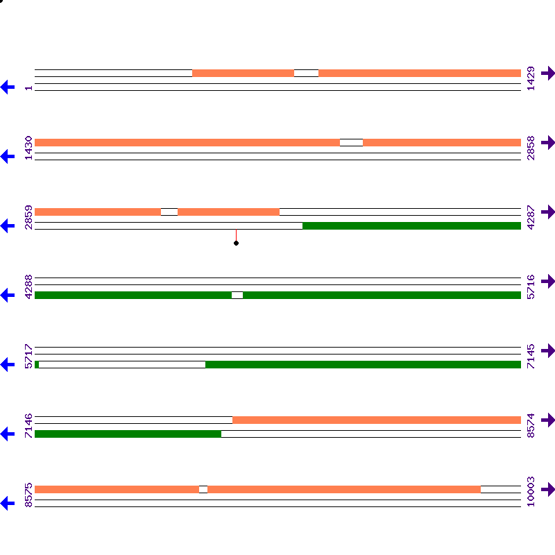 Genome View