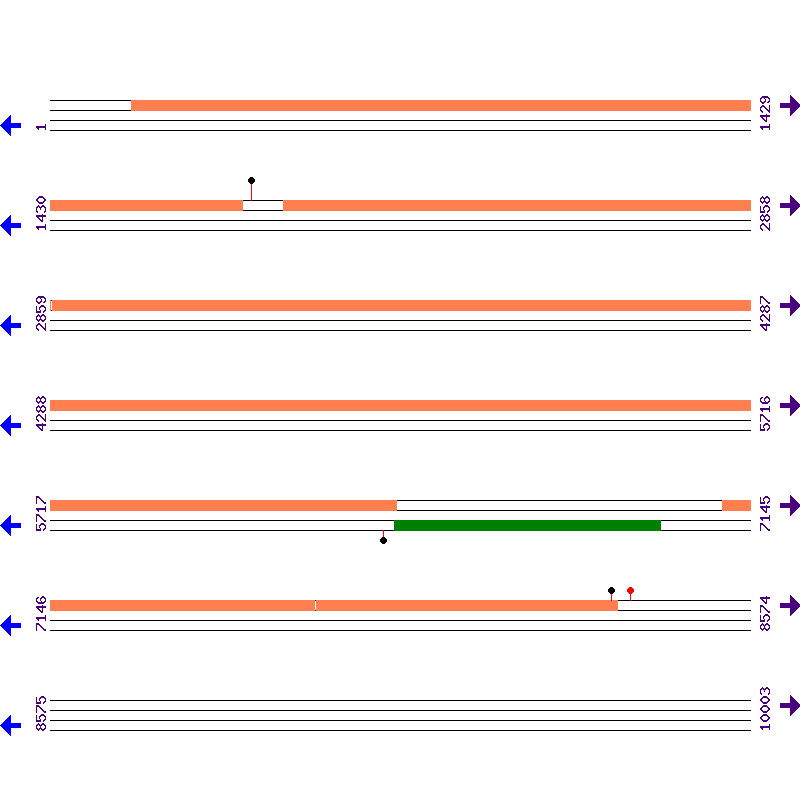 Genome View