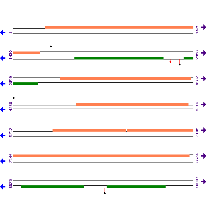 Genome View
