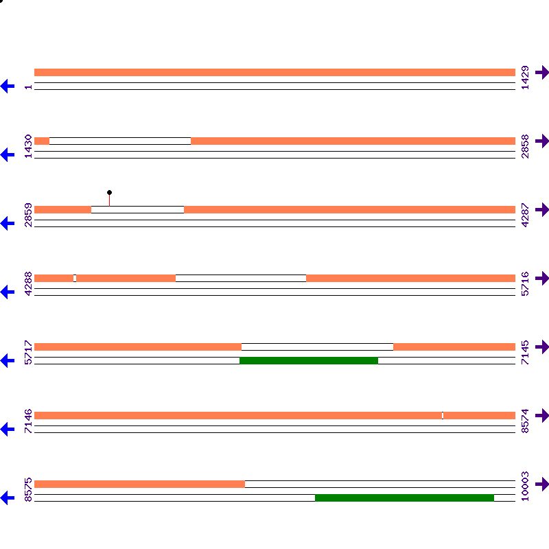 Genome View