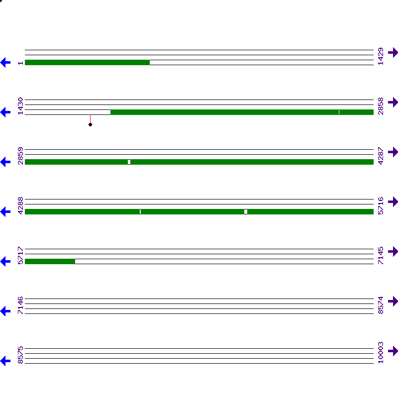 Genome View