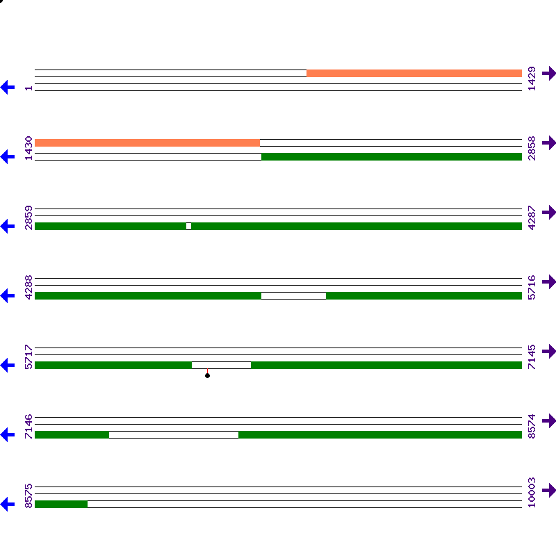 Genome View