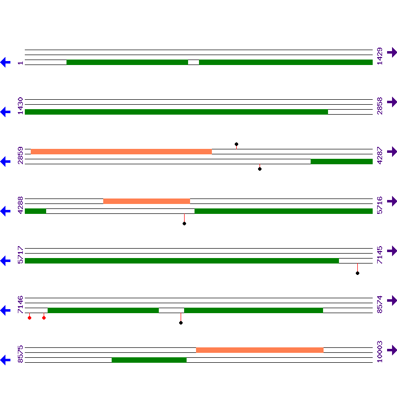 Genome View