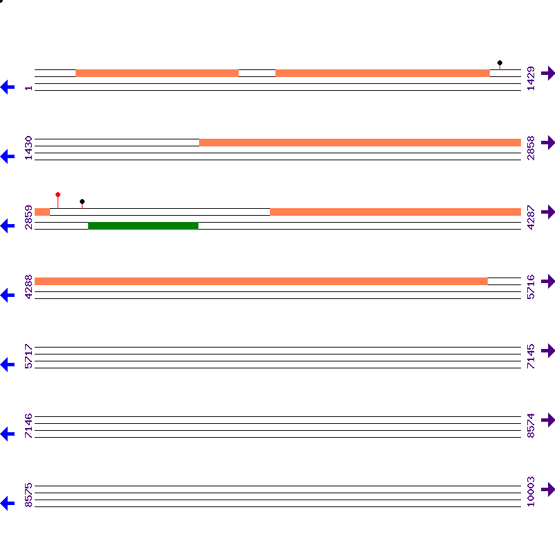 Genome View