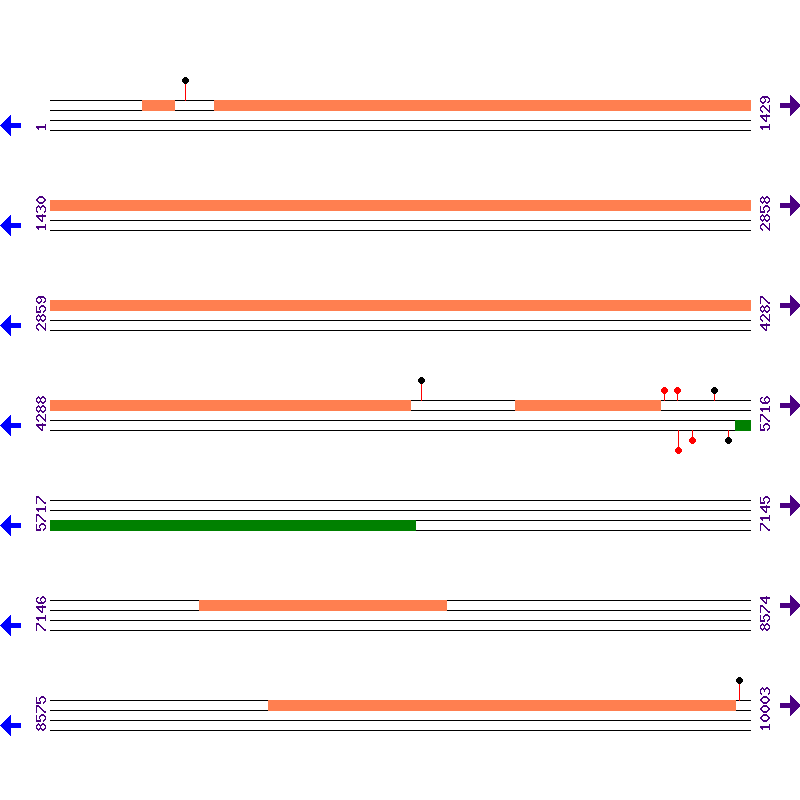 Genome View