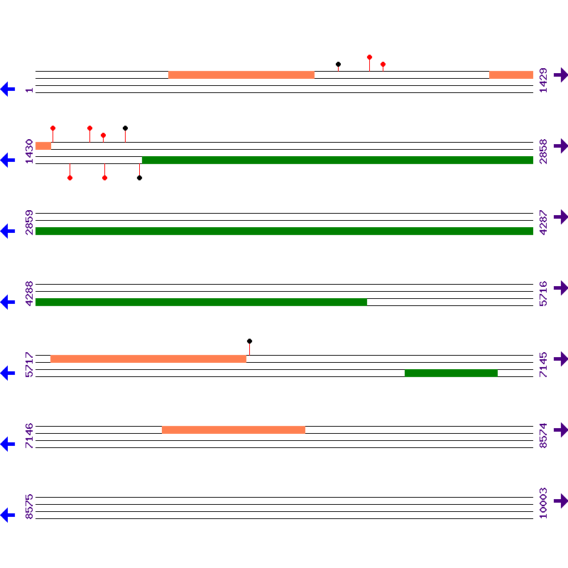 Genome View