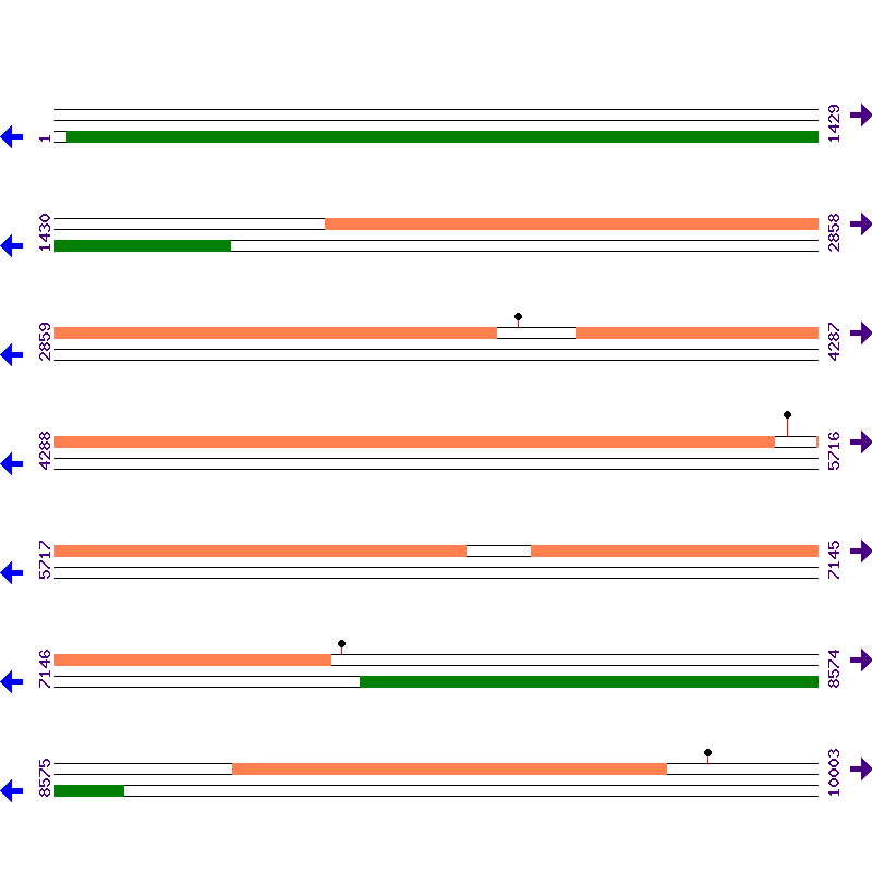 Genome View
